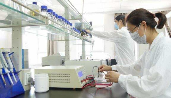 一個(gè)女企業(yè)家的現(xiàn)代農(nóng)業(yè)之夢(mèng)——訪領(lǐng)先生物農(nóng)業(yè)股份有限公司董事長徐志文 一個(gè)女企業(yè)家的現(xiàn)代農(nóng)業(yè)之夢(mèng)——訪領(lǐng)先生物農(nóng)業(yè)股份有限公司董事長徐志文